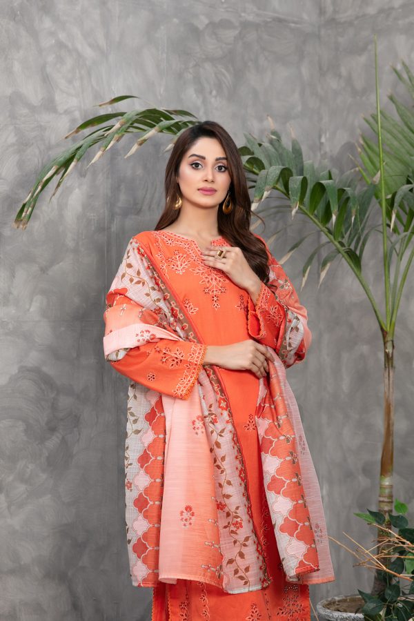 Tawakkal Aarah Collection 3 Piece D-2825