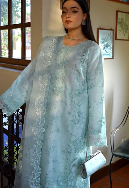 Mahnoor Organza Collection MC-02065