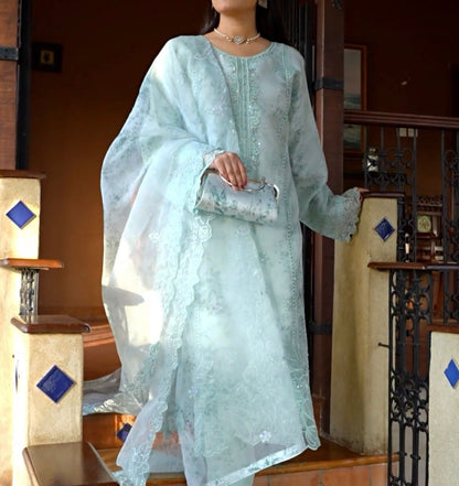 Mahnoor Organza Collection MC-02065